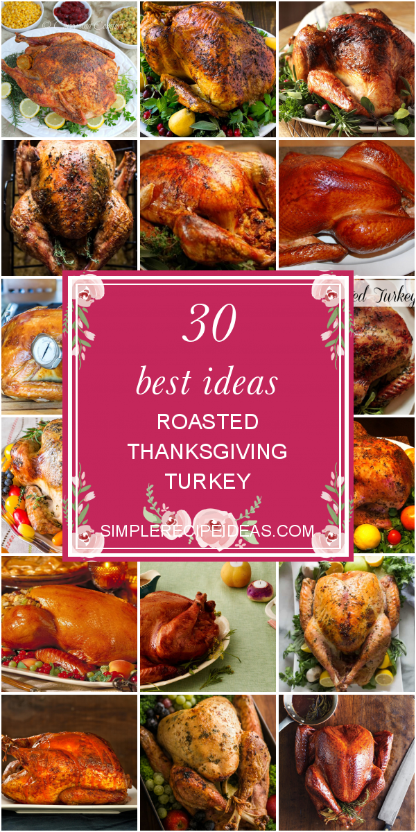 30 Best Ideas Roasted Thanksgiving Turkey Best Recipes Ever